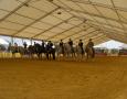 Alquiler de carpas Jaén