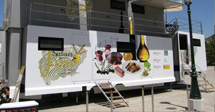 Alquiler de carpas Jaén